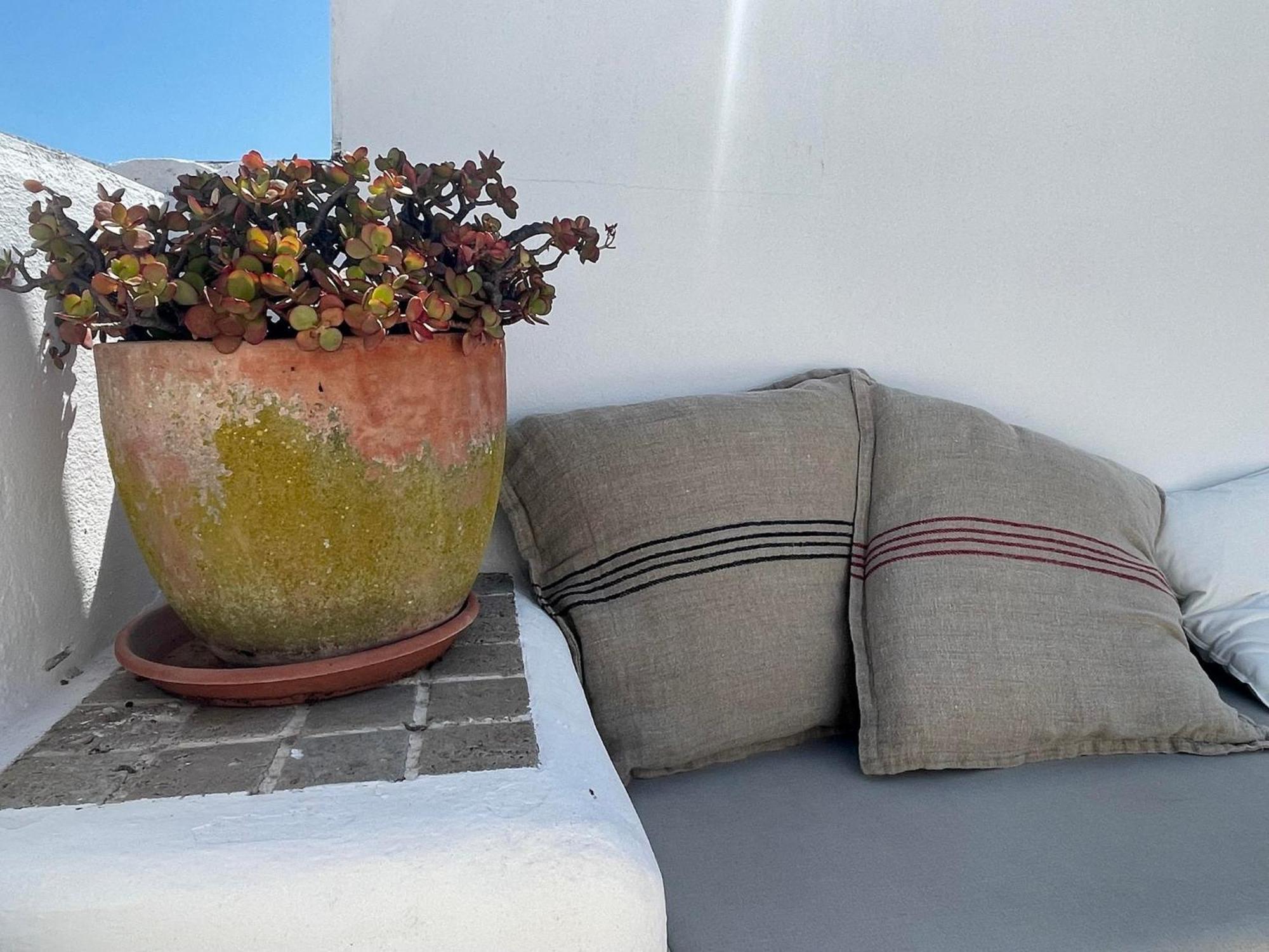 Casa Badillo - Califa Casas Vejer Villa Vejer de la Frontera Dış mekan fotoğraf
